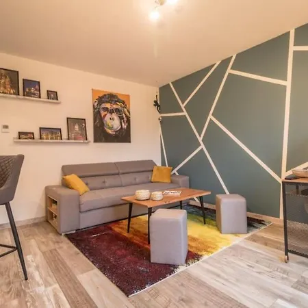 Appartement Le Saver'Zaru, Centre Ville, T2 55M² Saverne Exterior photo