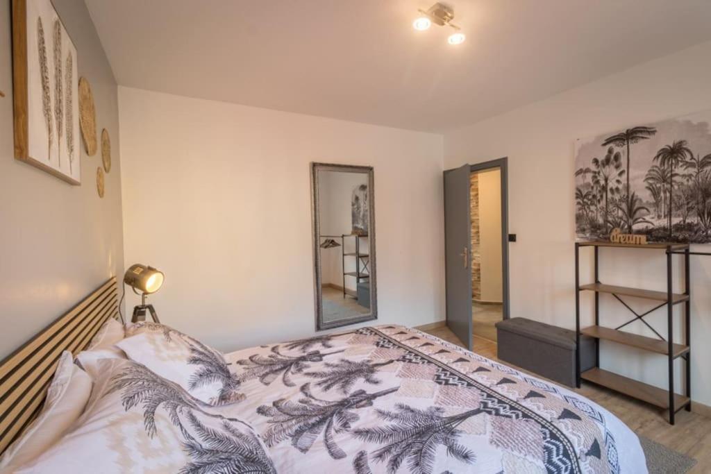 Le Saver'zaru, Centre Ville, T2 55m² Apartment Saverne